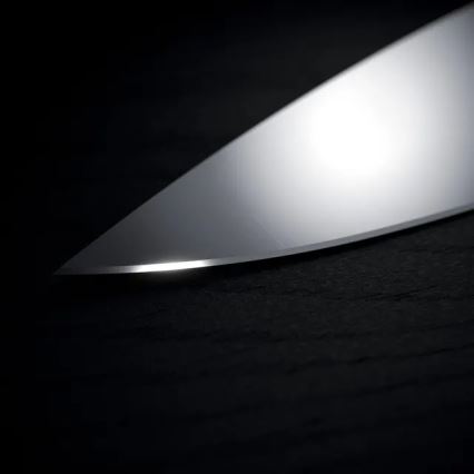 WMF - set kuhinjskih nožev GRAND WOOD s lesenim blokom, 6-delni