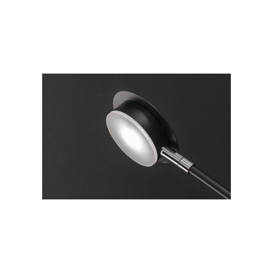Wofi 446604109000 - LED Stenska svetilka BELIZE 4xLED/5W/230V 3000K črna