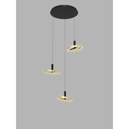 Wofi 5016-304 - LED Zatemnitveni lestenec na vrvici BREST LED/26W/230V črna/zlata