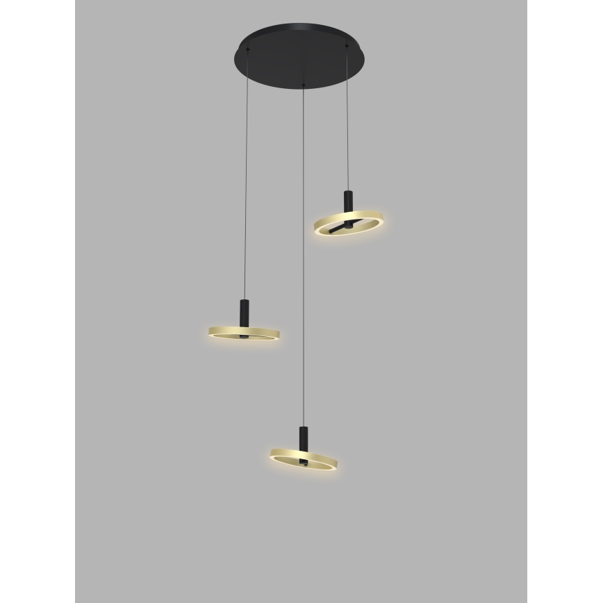 Wofi 5016-304 - LED Zatemnitveni lestenec na vrvici BREST LED/26W/230V črna/zlata
