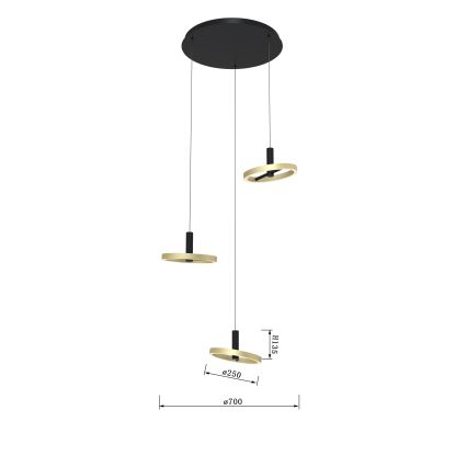 Wofi 5016-304 - LED Zatemnitveni lestenec na vrvici BREST LED/26W/230V črna/zlata