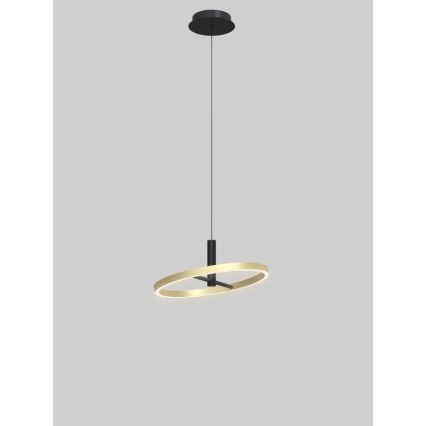 Wofi 6016-104L - LED s funkcijo zatemnjevanja, viseči lestenec na kablu BREST LED/19W/230V, premer 42 cm, črna/zlata