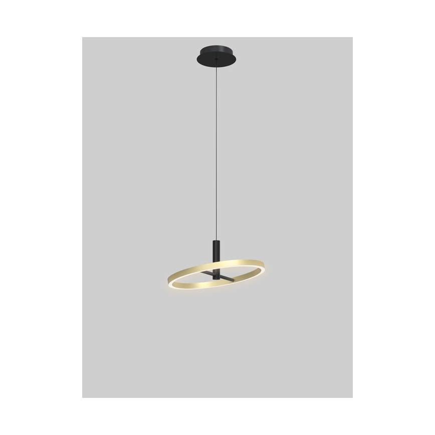 Wofi 6016-104L - LED s funkcijo zatemnjevanja, viseči lestenec na kablu BREST LED/19W/230V, premer 42 cm, črna/zlata