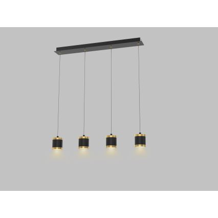 Wofi 7003-404 - LED zatemnjiv lestenec na jekleni vrvi TOULOUSE 4xLED/8,5W/230V črna/zlata