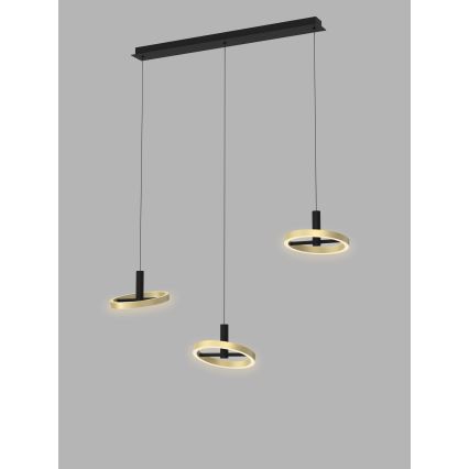 Wofi 7016-304 - LED Zatemnitveni lestenec na vrvici BREST LED/26W/230V črna/zlata