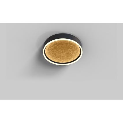 Wofi 9002-104M - LED Zatemnitvena stropna svetilka BORDEAUX LED/37W/230V črna/zlata