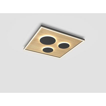 Wofi 9012-306L - LED Zatemnitvena stropna svetilka DIJON LED/40W/230V