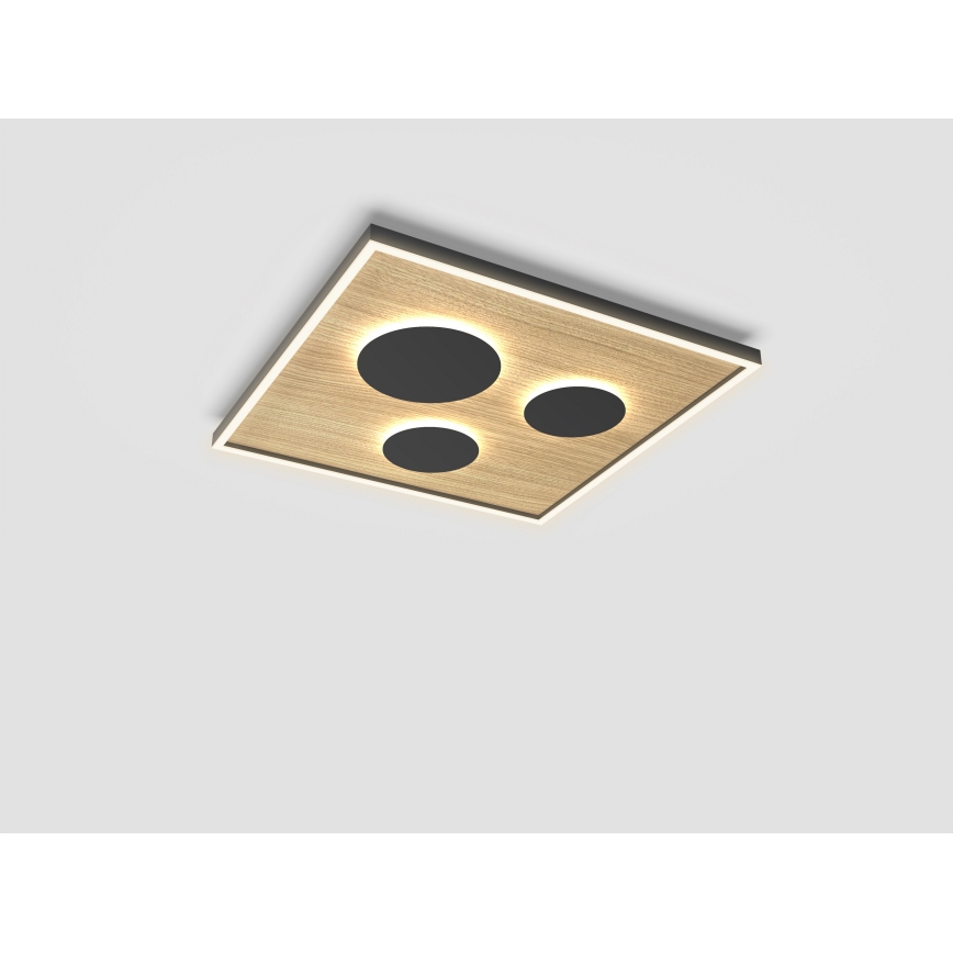 Wofi 9012-306L - LED Zatemnitvena stropna svetilka DIJON LED/40W/230V