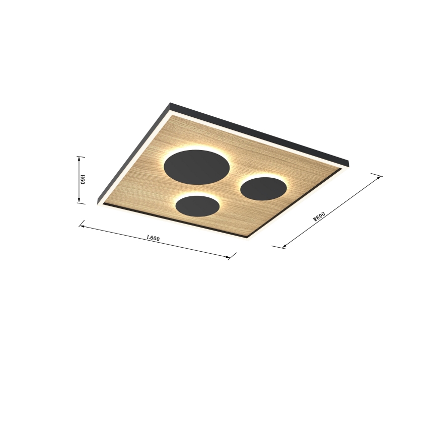 Wofi 9012-306L - LED Zatemnitvena stropna svetilka DIJON LED/40W/230V