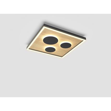 Wofi 9012-306S - LED Zatemnitvena stropna svetilka DIJON LED/26W/230V