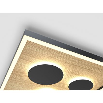 Wofi 9012-306S - LED Zatemnitvena stropna svetilka DIJON LED/26W/230V