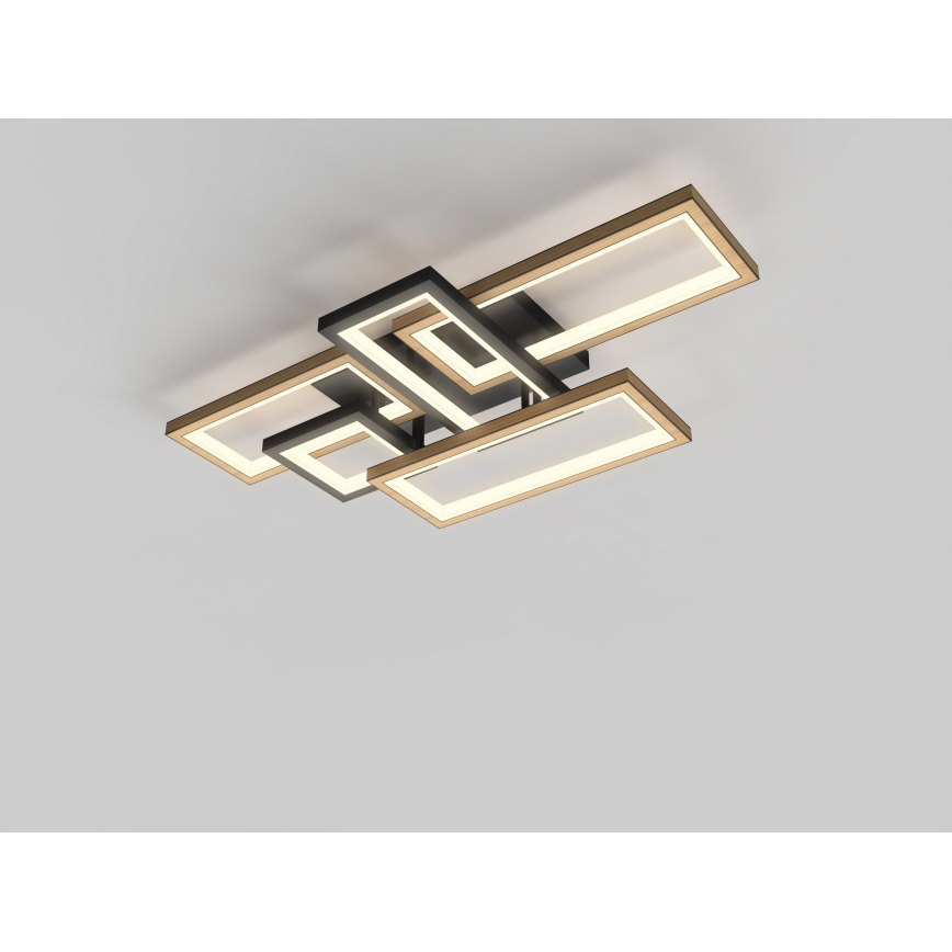 Wofi 9022-506 - zatemnljiva stropna svetilka MATERA LED/60W/230V
