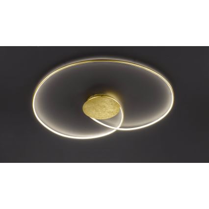 Wofi - LED Stropna svetilka OPUS LED/32W/230V