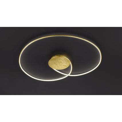Wofi - LED Stropna svetilka OPUS LED/32W/230V