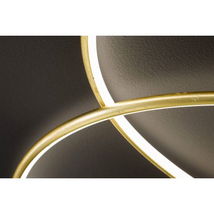 Wofi - LED Stropna svetilka OPUS LED/32W/230V