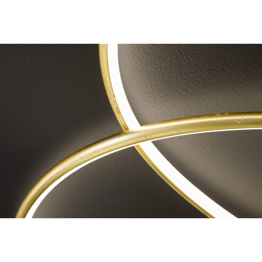 Wofi - LED Stropna svetilka OPUS LED/32W/230V