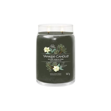 Yankee Candle - Dišeča sveča SILVER SAGE & PINE velika 567 g 60-90 ur