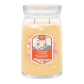 Yankee Candle - Dišeča sveča SLOPESIDE SPRITZ velika 567g 60-90 ur.