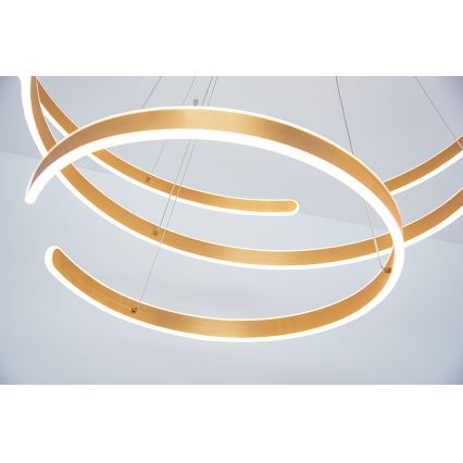 Zambelis 2014 - LED Zatemnitveni lestenec na vrvici LED/120W/230V zlat