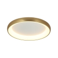 Zambelis 2042 - LED Zatemnitvena stropna svetilka LED/30W/230V pr. 40 cm zlata
