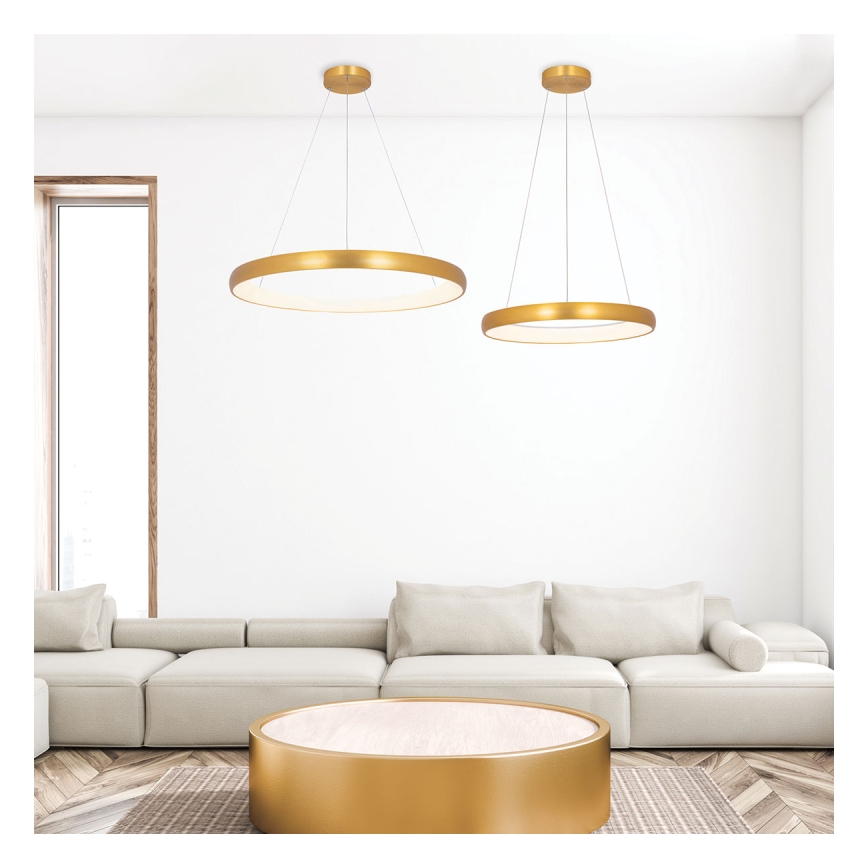 Zambelis 2054 - LED Zatemnitveni lestenec na vrvici LED/50W/230V pr. 60 cm zlata