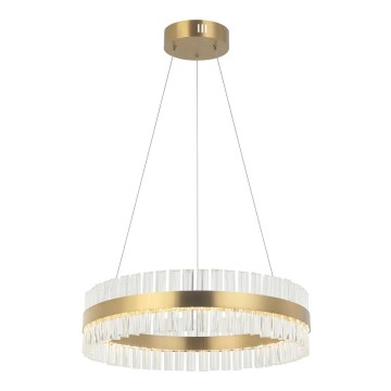 Zambelis 22039 - LED Zatemnitveni lestenec na vrvici LED/56W/230V zlata