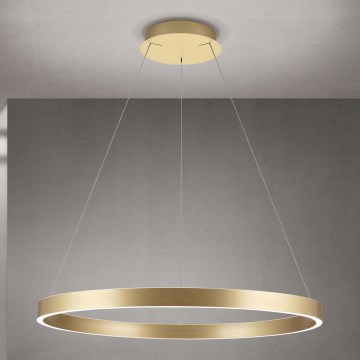 Zatemljiv zlati LED lestenec na jekleni vrvici KOLK LED/80W/230V 2700/3000/4000K, premer 80 cm