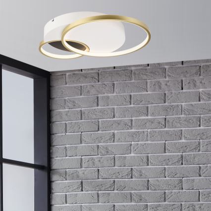 Zatemnitvena stropna svetilka BENITO LED/31W/230V 3000-6500K bela/zlata