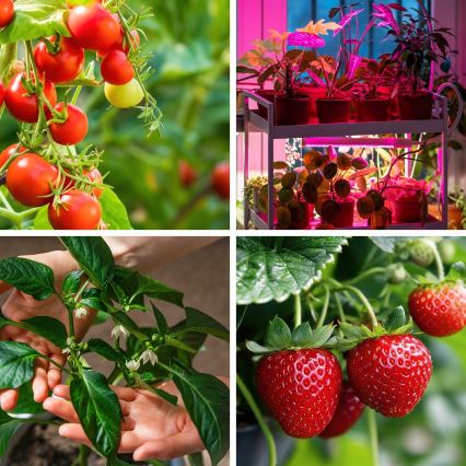 LED zatemnjevalna prilagodljiva namizna svetilka za gojenje rastlin VITARO 4xLED/10W/230V črna