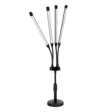 LED zatemnjevalna prilagodljiva namizna svetilka za gojenje rastlin VITARO 4xLED/10W/230V črna