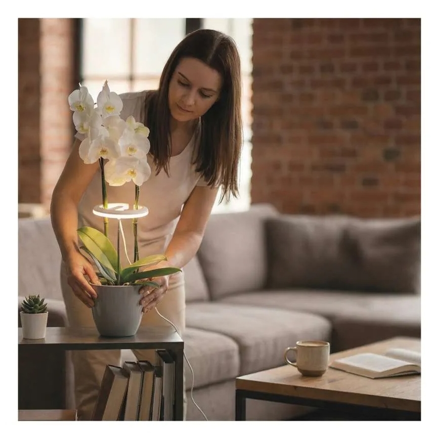 Zatemnjevalna LED notranja svetilka za gojenje rastlin GROW LED/8W/5V