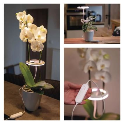 Zatemnjevalna LED notranja svetilka za gojenje rastlin GROW LED/8W/5V