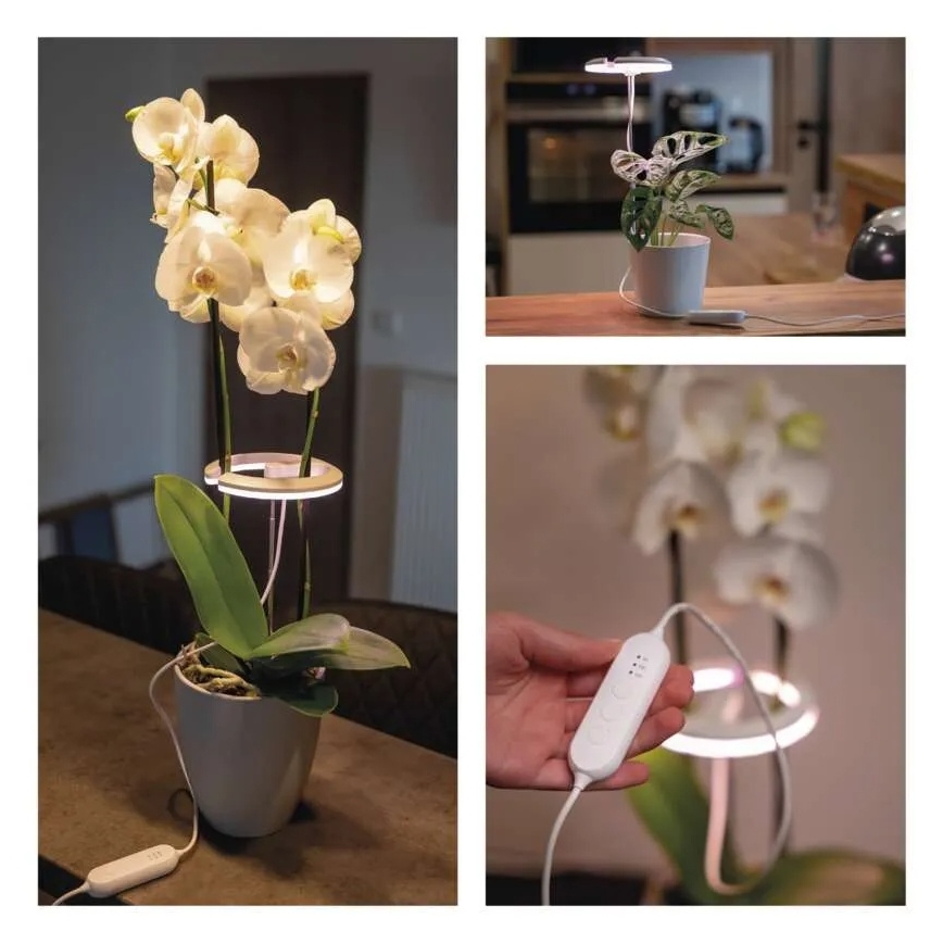 Zatemnjevalna LED notranja svetilka za gojenje rastlin GROW LED/8W/5V