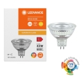 Zatemnjevalna LED reflektorska žarnica MR16 GU5,3/6,6W/12V 3000K 36° CRI 97 - Ledvance