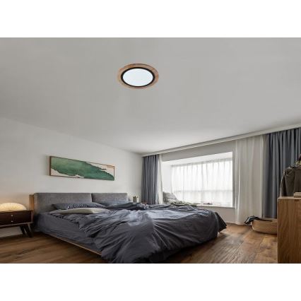 Zatemnjevalna LED stropna svetilka LED/25W/230V 3000-6500K + daljinski upravljalnik