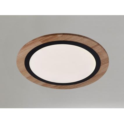 Zatemnjevalna LED stropna svetilka LED/25W/230V 3000-6500K + daljinski upravljalnik