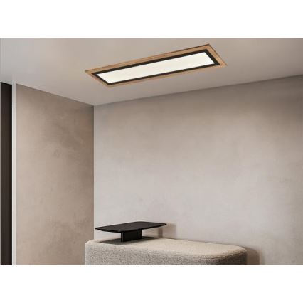 Zatemnjevalna LED stropna svetilka LED/55W/230V 3000-6500K + daljinski upravljalnik