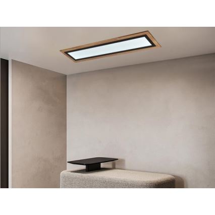 Zatemnjevalna LED stropna svetilka LED/55W/230V 3000-6500K + daljinski upravljalnik