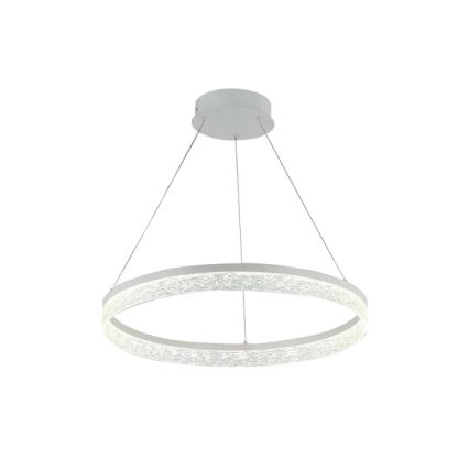 Zatemnjevalen LED lestenec na kablu ALIANZ LED/60W/230V 3000-6000K premer 80 cm + daljinski upravljalnik