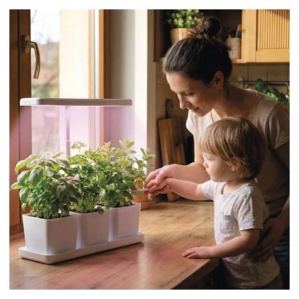 Zatemnljiva LED notranja svetilka za gojenje rastlin GROW LED/7W/5V