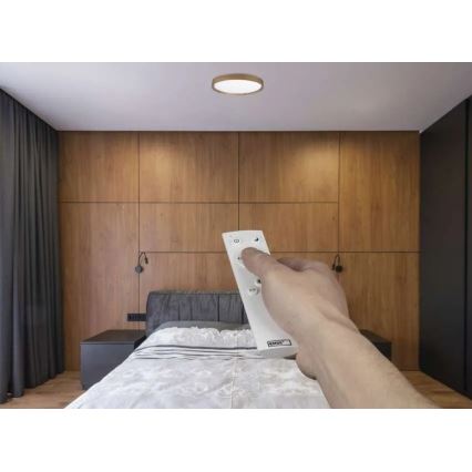 LED zatemnljivo stropno svetilo ILVI LED/30W/230V 2700-6500K Ø 40 cm, lesni dekor + daljinski upravljalnik