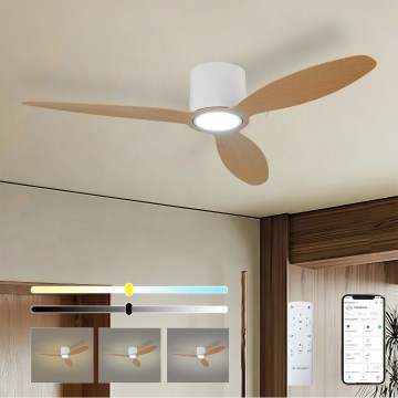ZEVENTI - LED stropni ventilator z zatemnitvijo VENTORA LED/24W/230V 3000/4000/6000K Wi-Fi Tuya bela/hrast + daljinski upravljalnik