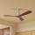 ZEVENTI - Stropni ventilator LIONI Wi-Fi Tuya mat krom/hrast + Daljinski upravljalnik