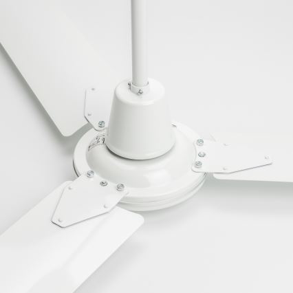 ZEVENTI - Stropni ventilator TOFINO bela