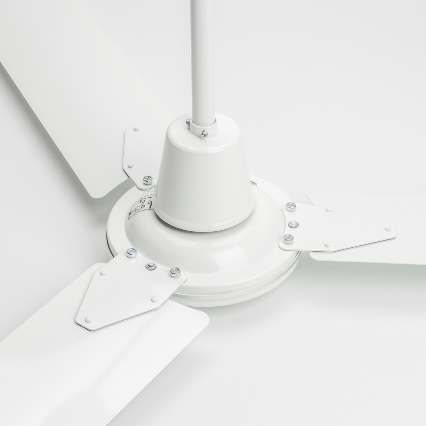 ZEVENTI - Stropni ventilator TOFINO bela