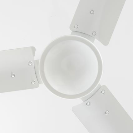 ZEVENTI - Stropni ventilator TOFINO bela
