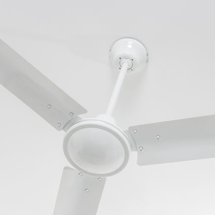 ZEVENTI - Stropni ventilator TOFINO bela
