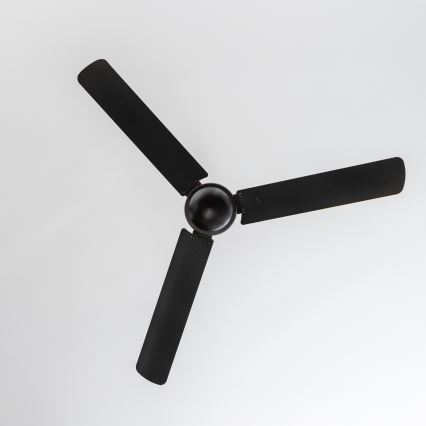ZEVENTI - Stropni ventilator TOFINO črne barve
