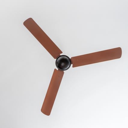 ZEVENTI - Stropni ventilator TOFINO rjava