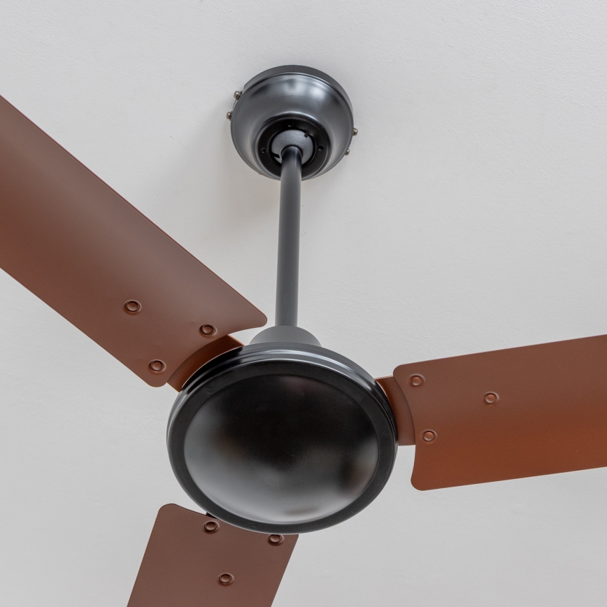 ZEVENTI - Stropni ventilator TOFINO rjava